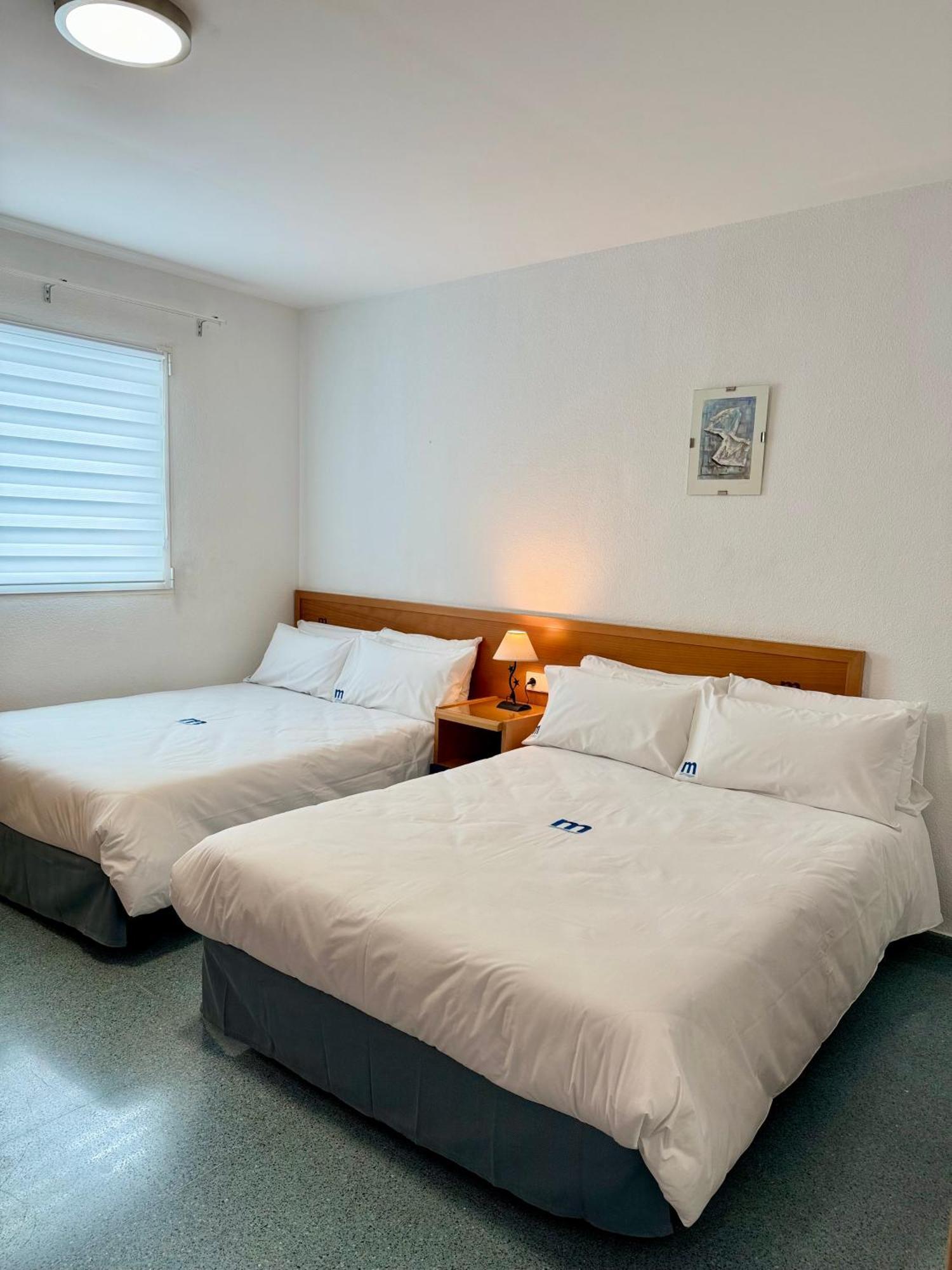 Residencia Mediterraneo San Vicente Raspeig Dış mekan fotoğraf